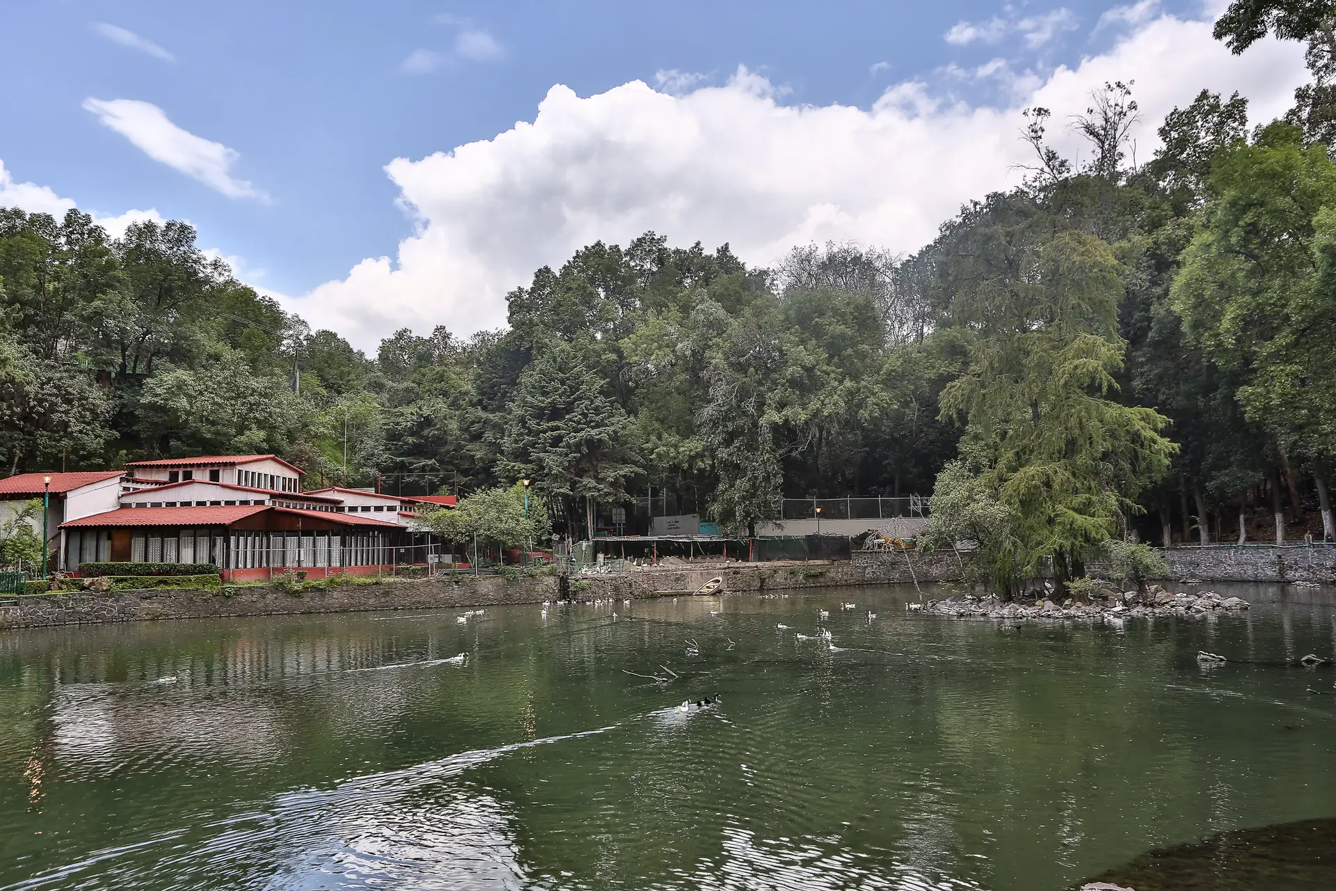 Pulido de Pisos Tlalpan 9 Fuentes Brotantes Tlalpan