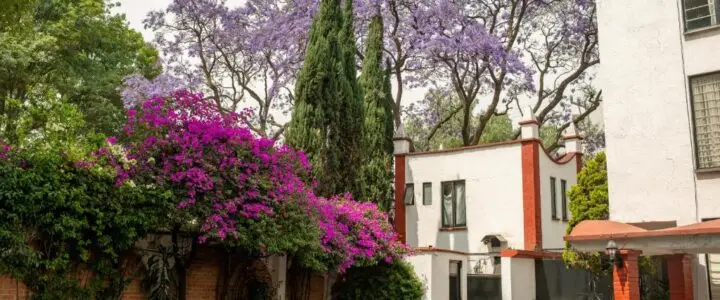 Pulido de pisos Coyoacán pulido de pisos coyoacan